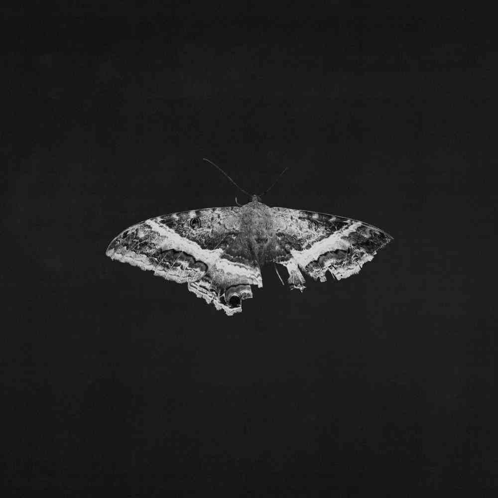 Kendrick Lamar - To Pimp A Butterfly (10 Year Anniversary Edition) [Alternate Artwork] [Black marble Vinyl] [2LP]